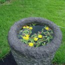 씨에스 호텔 이미지