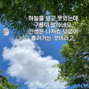 모*춘