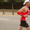 중마애견 이미지