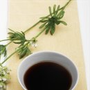 체원한의원 이미지