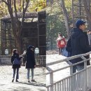 이필모 카카오 검색결과