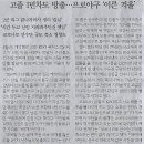 신화미디어 이미지