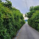 삼부연로 이미지