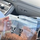 네일도;너랑하고싶어