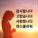 플라워댄스