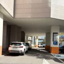 맛있는 초밥 | 광주 봉선동 맛집 초밥 맛있는 정초밥 내돈내산 후기