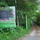 진성민박 이미지