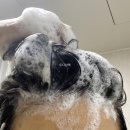 뷰티미용실 - 익산시 | 뷰티미용실