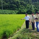 우심 - 고양시 일산서구 킨텍스로 255 | 우심