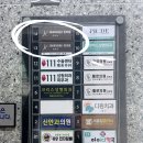 늘시원한위대항의원 | 신사역 하이미의원 자연스럽고 섬세한 디자인의 입술필러