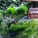 산여울민박 네이버블로그