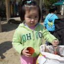 콩꽃씨 Daum카페