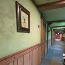 홈브리지 캐빈호스텔 | 에버랜드 숙소 홈브리지캐빈호스텔 내돈내산 후기 (입실시간, 예약,주차)