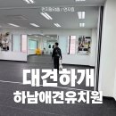 대견하개 이미지