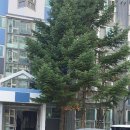 송산3단지 이미지