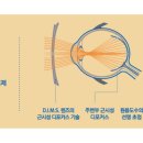 군포초교 이미지