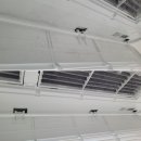 봄작시티24 이미지