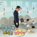 나무(NAMU) 이미지