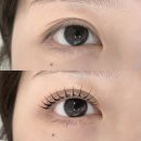 블랙판다 - 양천구 | 오송 속눈썹 유지력 좋아 방문하게 된 블랙틴팅펌 솔직 후기
