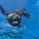 강서구민올림픽체육센터 이미지