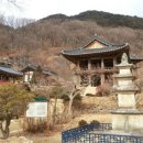 풍기인삼농협 이미지