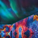 도심건강길 6길 이미지