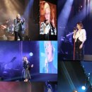 더바이브