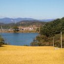 수지면 마륜마을 이미지