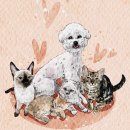 다연하우스 이미지