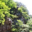 제24차 장수산악회 산행안내 (유명산) 이미지