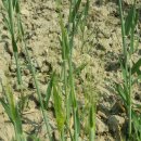 도담농원 이미지