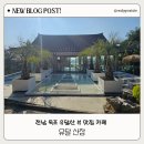 유달미술관 | 비밀의 문이 있는 목포 유달산 카페 유달산장 솔직 후기
