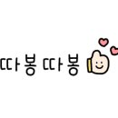 댕댕이 목욕탕 이미지