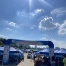 스위밍고 | 2025 한강 크로스 스위밍 aka 한크스 수린이 오리발 후기(주차, 기념품, 준비물)