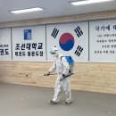 열린태권도 Daum카페