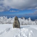 울릉도(추산, 태하 '24.1.28) 이미지