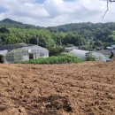 김행수농장 이미지