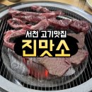 진맛소