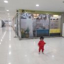 사랑나무의원 | 춘천 '사랑나무 소아청소년과' 후기