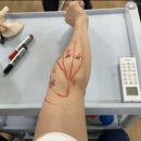 피티시모 이미지