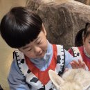 해피애니멀) 도마뱀, 앵무새, 사막여우 만져보기 이미지