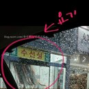 그 유명한 자쿠이 방문기