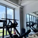 스텔라인핏 이미지