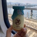 2023.06.04-06 단양 여행 2박3일 / 패러글라이딩 / 모터보트 / 짚라인 / 알파인코스터 / 모노레일...