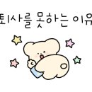 초리상회 이미지