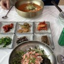 횟집진 | 포항 구룡포 “횟집진” 물회 맛집 대게 덮밥 후기