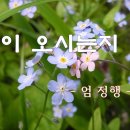 차오 이미지