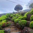 보라펜션 이미지