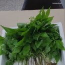 한아름실버케어센터 이미지