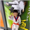 경희대XPL태권도장 이미지